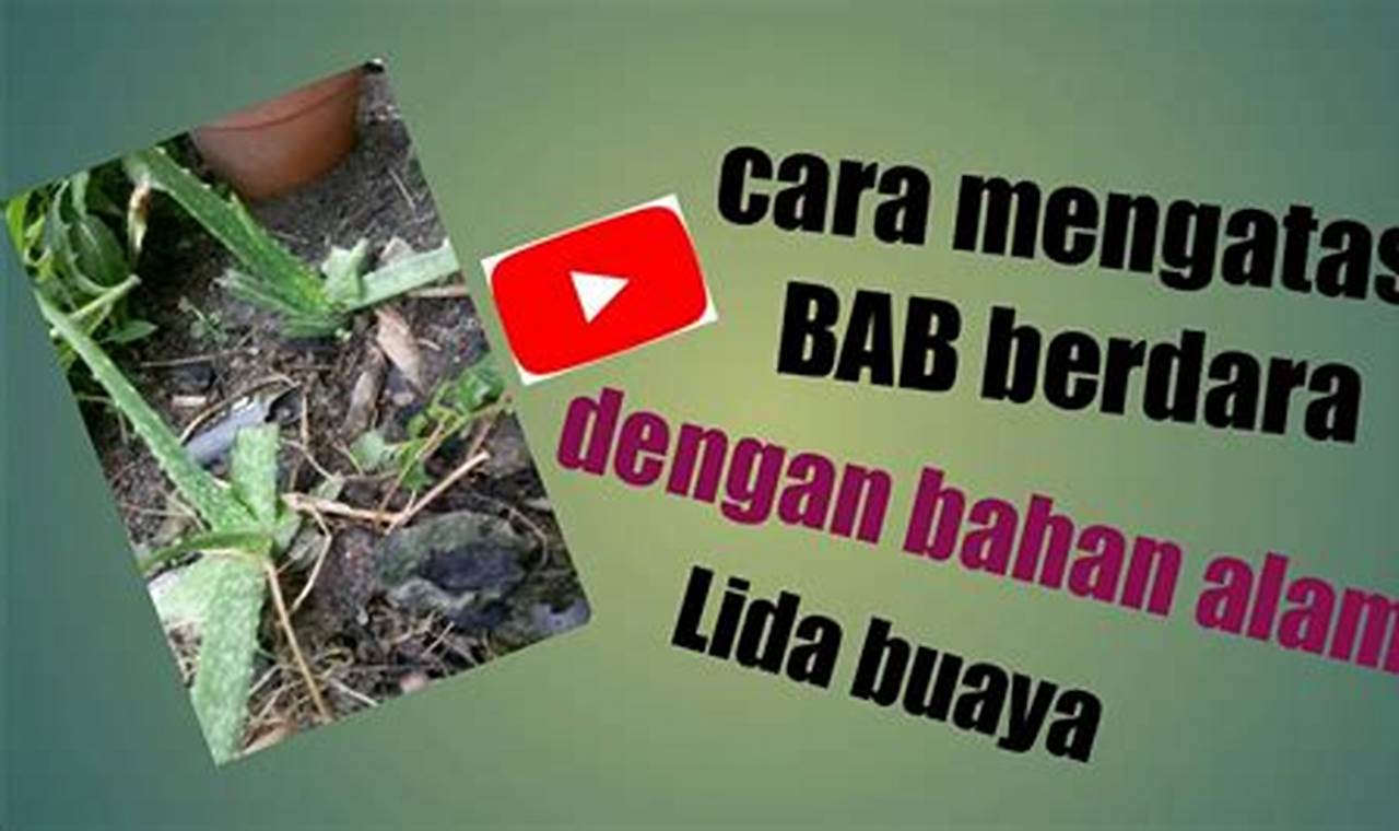 cara mengatasi bab berdarah